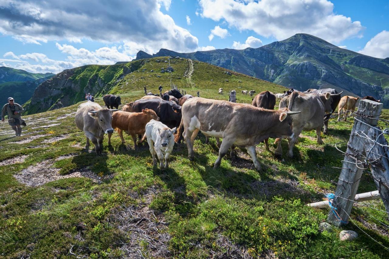 La Posada De Cucayo Dobres Esterno foto