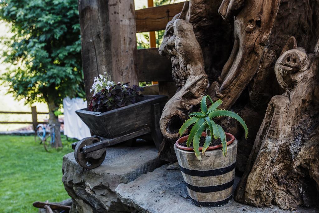 La Posada De Cucayo Dobres Esterno foto