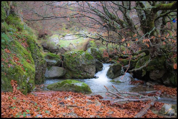 La Posada De Cucayo Dobres Esterno foto