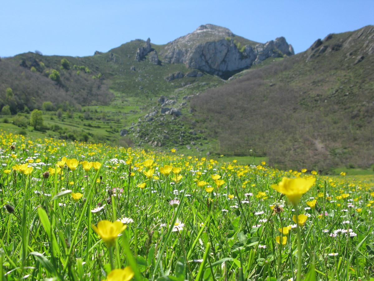 La Posada De Cucayo Dobres Esterno foto